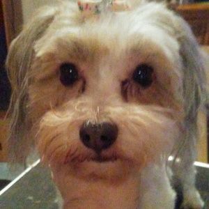 Meet your Posher, Yvette